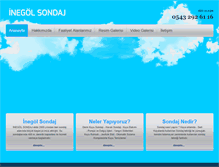 Tablet Screenshot of inegolsondaj.com